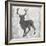 Buck Hunt Gray-Sheldon Lewis-Framed Art Print