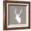 Buck I-Sabine Berg-Framed Art Print