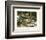 Buck in Midstream-Jack Sorenson-Framed Art Print