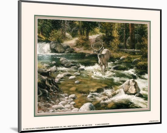 Buck in Midstream-Jack Sorenson-Mounted Art Print