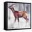 Buck in the Snow, 2000-Mark Adlington-Framed Premier Image Canvas