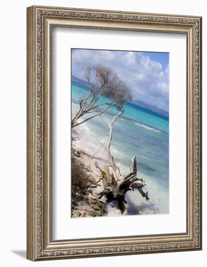 Buck Island, Saint Croix, Us Virgin Islands. Beach with Christiansted-Janet Muir-Framed Photographic Print