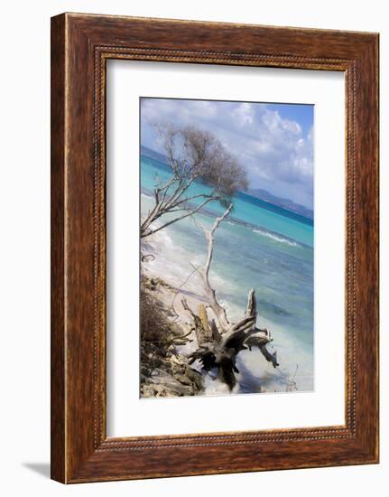 Buck Island, Saint Croix, Us Virgin Islands. Beach with Christiansted-Janet Muir-Framed Photographic Print