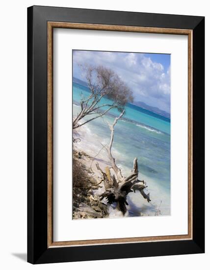 Buck Island, Saint Croix, Us Virgin Islands. Beach with Christiansted-Janet Muir-Framed Photographic Print