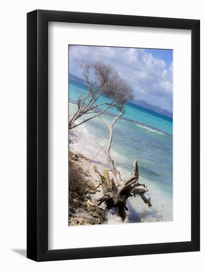 Buck Island, Saint Croix, Us Virgin Islands. Beach with Christiansted-Janet Muir-Framed Photographic Print