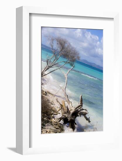 Buck Island, Saint Croix, Us Virgin Islands. Beach with Christiansted-Janet Muir-Framed Photographic Print