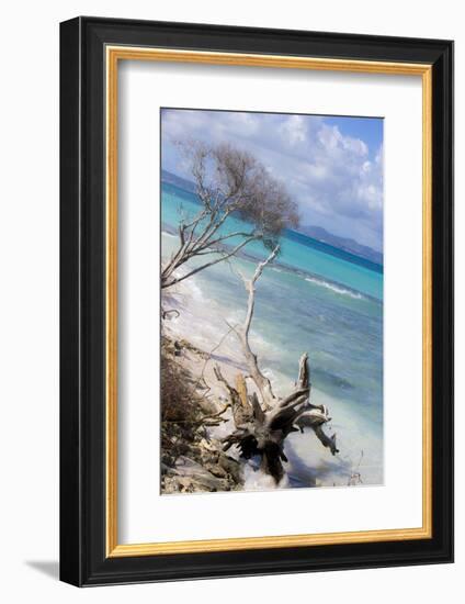 Buck Island, Saint Croix, Us Virgin Islands. Beach with Christiansted-Janet Muir-Framed Photographic Print