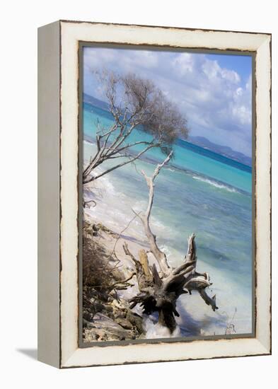 Buck Island, Saint Croix, Us Virgin Islands. Beach with Christiansted-Janet Muir-Framed Premier Image Canvas