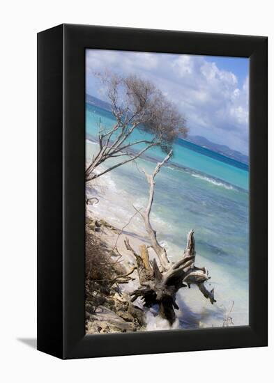 Buck Island, Saint Croix, Us Virgin Islands. Beach with Christiansted-Janet Muir-Framed Premier Image Canvas