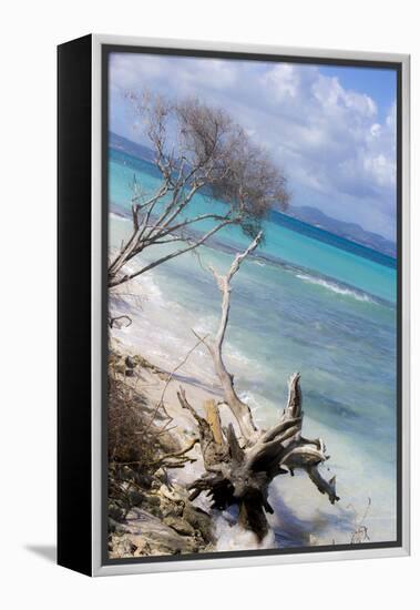 Buck Island, Saint Croix, Us Virgin Islands. Beach with Christiansted-Janet Muir-Framed Premier Image Canvas