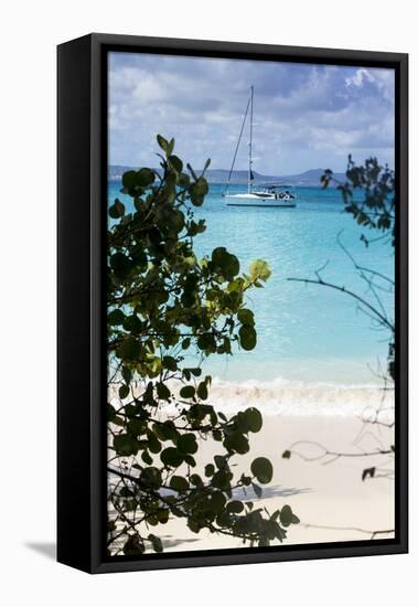 Buck Island, Saint Croix, Us Virgin Islands. Sailboat-Janet Muir-Framed Premier Image Canvas