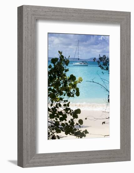 Buck Island, Saint Croix, Us Virgin Islands. Sailboat-Janet Muir-Framed Photographic Print