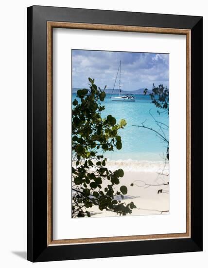 Buck Island, Saint Croix, Us Virgin Islands. Sailboat-Janet Muir-Framed Photographic Print