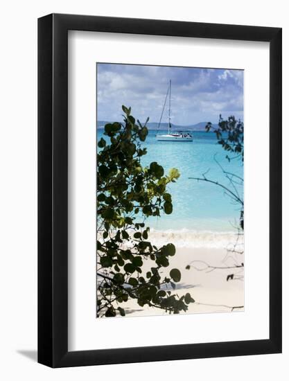 Buck Island, Saint Croix, Us Virgin Islands. Sailboat-Janet Muir-Framed Photographic Print