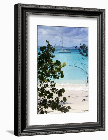 Buck Island, Saint Croix, Us Virgin Islands. Sailboat-Janet Muir-Framed Photographic Print