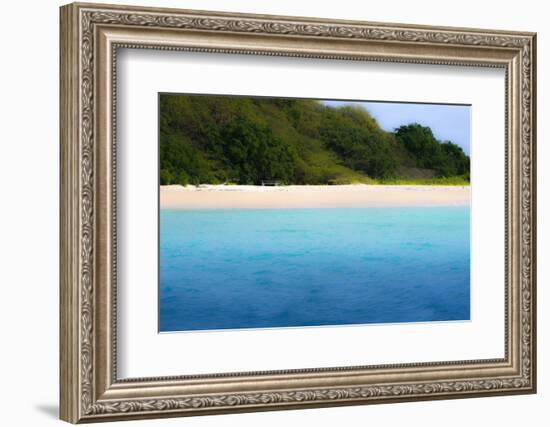 Buck Island, Saint Croix, Us Virgin Islands. Soft Focus of the Beach-Janet Muir-Framed Photographic Print