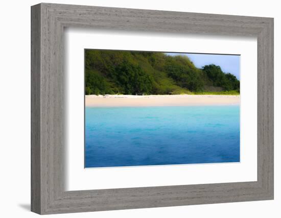 Buck Island, Saint Croix, Us Virgin Islands. Soft Focus of the Beach-Janet Muir-Framed Photographic Print