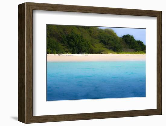 Buck Island, Saint Croix, Us Virgin Islands. Soft Focus of the Beach-Janet Muir-Framed Photographic Print