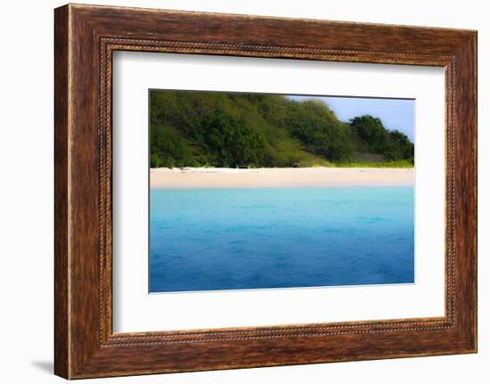 Buck Island, Saint Croix, Us Virgin Islands. Soft Focus of the Beach-Janet Muir-Framed Photographic Print