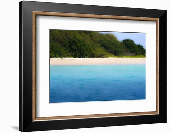 Buck Island, Saint Croix, Us Virgin Islands. Soft Focus of the Beach-Janet Muir-Framed Photographic Print