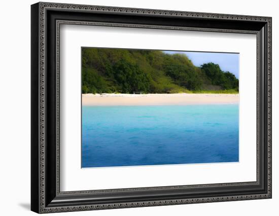 Buck Island, Saint Croix, Us Virgin Islands. Soft Focus of the Beach-Janet Muir-Framed Photographic Print