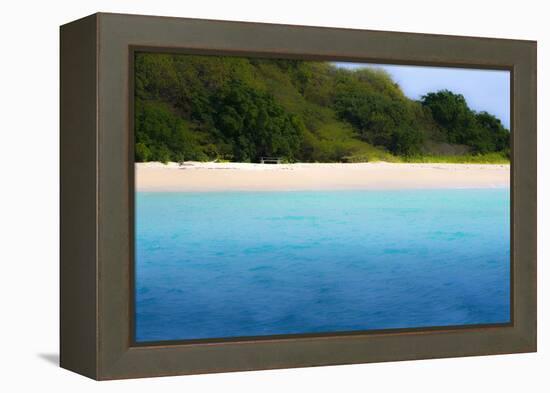 Buck Island, Saint Croix, Us Virgin Islands. Soft Focus of the Beach-Janet Muir-Framed Premier Image Canvas