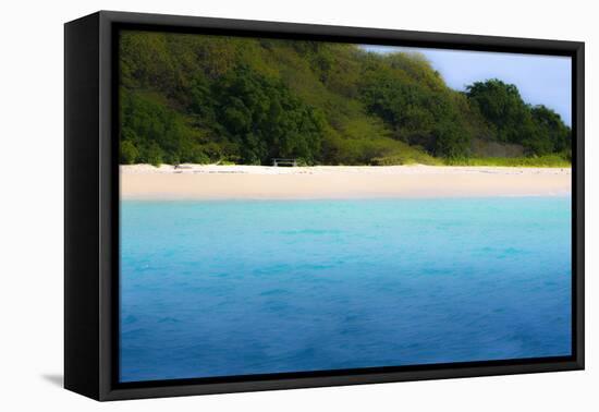 Buck Island, Saint Croix, Us Virgin Islands. Soft Focus of the Beach-Janet Muir-Framed Premier Image Canvas