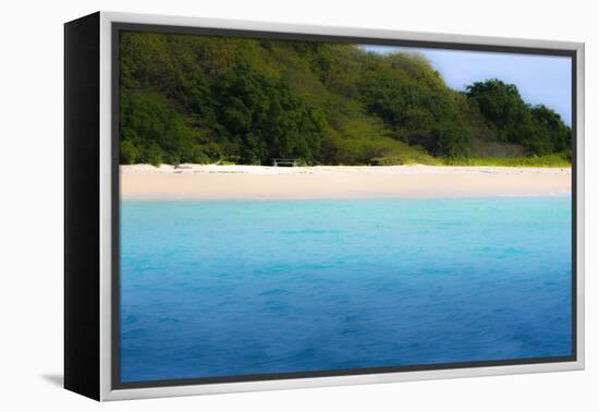 Buck Island, Saint Croix, Us Virgin Islands. Soft Focus of the Beach-Janet Muir-Framed Premier Image Canvas