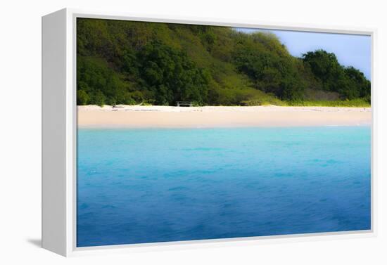 Buck Island, Saint Croix, Us Virgin Islands. Soft Focus of the Beach-Janet Muir-Framed Premier Image Canvas