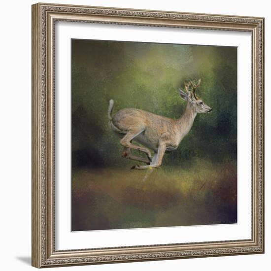 Buck on the Run-Jai Johnson-Framed Giclee Print