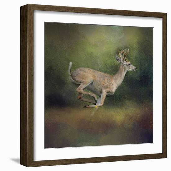 Buck on the Run-Jai Johnson-Framed Giclee Print