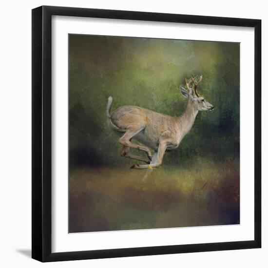 Buck on the Run-Jai Johnson-Framed Giclee Print