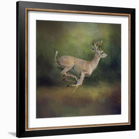 Buck on the Run-Jai Johnson-Framed Giclee Print