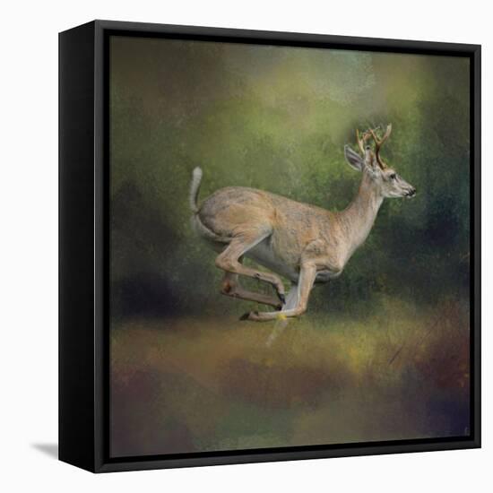 Buck on the Run-Jai Johnson-Framed Premier Image Canvas