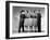 Buck Privates, Lou Costello, Maxine Andrews, Patty Andrews, Laverne Andrews, 1941-null-Framed Photo