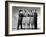 Buck Privates, Lou Costello, Maxine Andrews, Patty Andrews, Laverne Andrews, 1941-null-Framed Photo