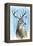 Buck-Michelle Faber-Framed Premier Image Canvas