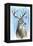 Buck-Michelle Faber-Framed Premier Image Canvas