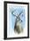 Buck-Michelle Faber-Framed Giclee Print