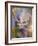 Buck-Richard Wallich-Framed Giclee Print