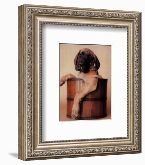 Bucket Dweller-Rachael Hale-Framed Art Print