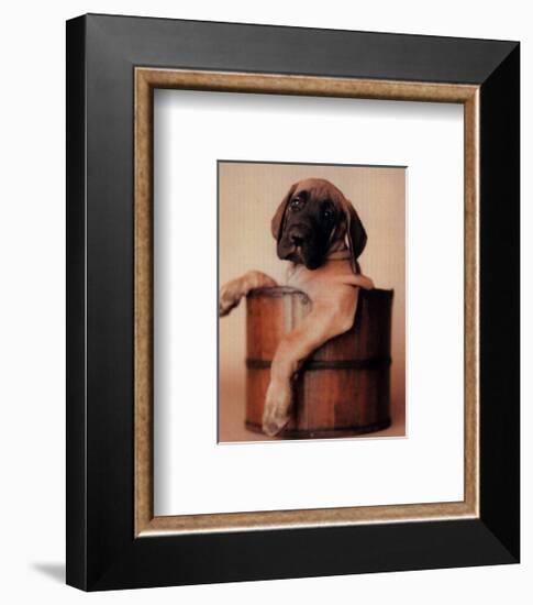 Bucket Dweller-Rachael Hale-Framed Art Print