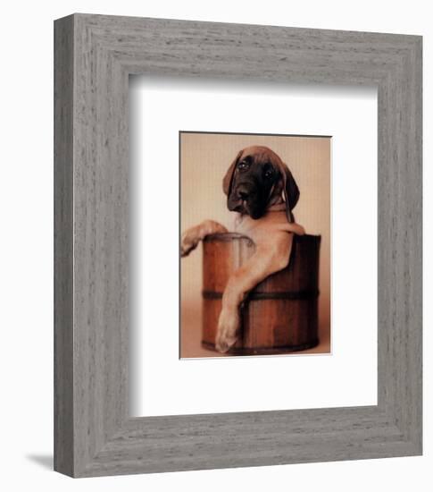 Bucket Dweller-Rachael Hale-Framed Art Print