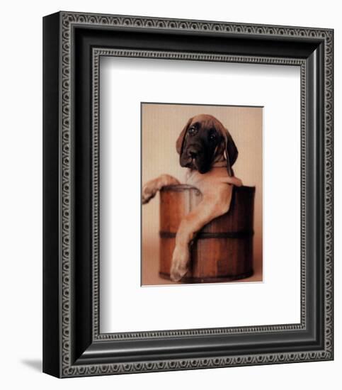 Bucket Dweller-Rachael Hale-Framed Art Print