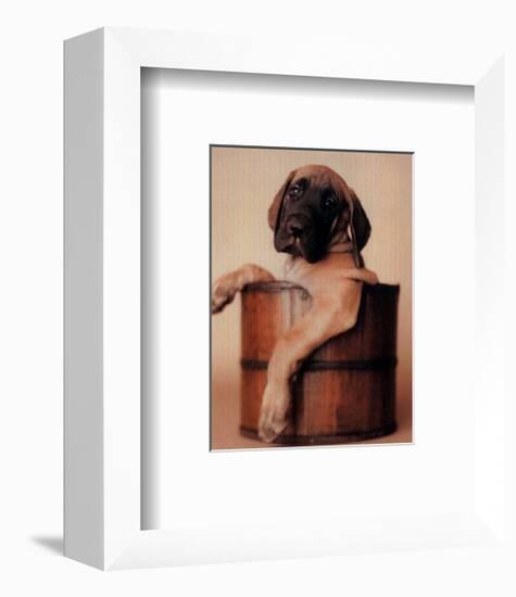 Bucket Dweller-Rachael Hale-Framed Art Print