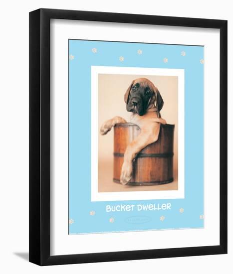 Bucket Dweller-Rachael Hale-Framed Art Print