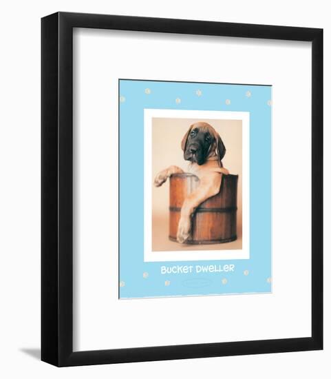 Bucket Dweller-Rachael Hale-Framed Art Print