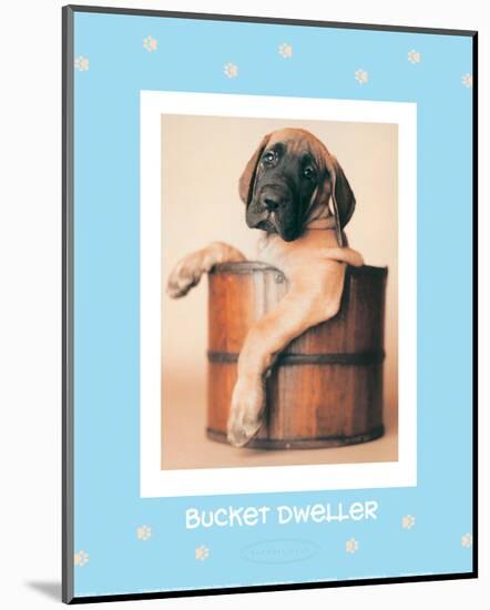 Bucket Dweller-Rachael Hale-Mounted Art Print