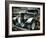 Bucket Job-Stephen Arens-Framed Photographic Print