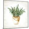 Bucket of Greenery I-null-Mounted Art Print